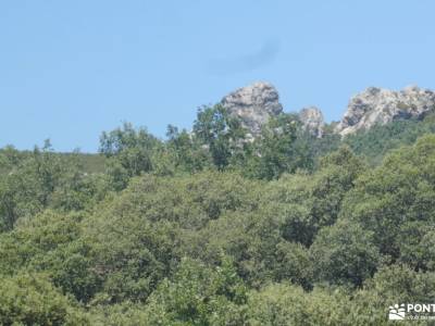 Bosques y Leyendas del Alto Carrión; escapada fin de semana senderismo con imaginación atención excl
